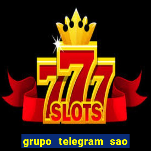 grupo telegram sao jose do rio preto